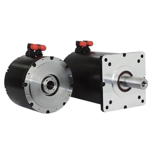 RTLS-RTMS High-performance Servo Motors
